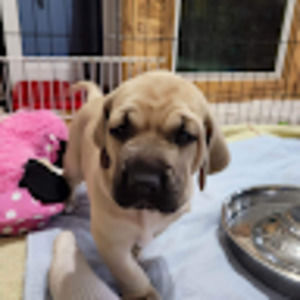 Meet your Posher, Ellen